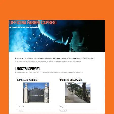 Website 2 OFC